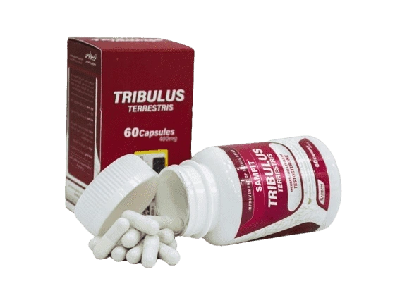 تریبولوس 60 عددی سام فیت افزایش دهنده سطح تستسترون