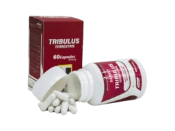 تریبولوس 60 عددی سام فیت افزایش دهنده سطح تستسترون